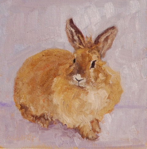 Oil painting of rabbit by Lynne Lockhart