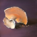 small painting of shell fragment by Nancy West