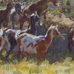 Lockhart - Hay for Breakfast 16x20 (2)